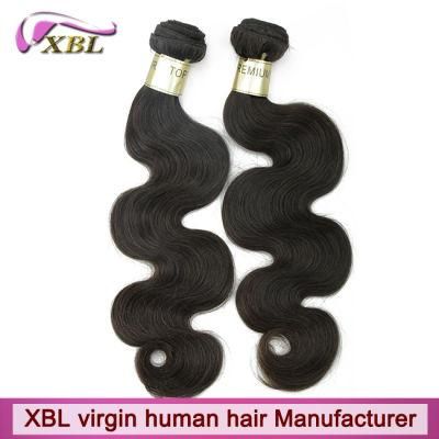 Xbl Factory Wholesale Grade 10A Raw Brazillian Human Hair