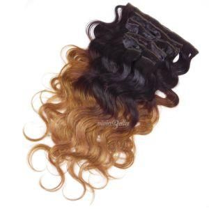 European Ombre Body Wave T2/8 Clip-in 100% Human Hair
