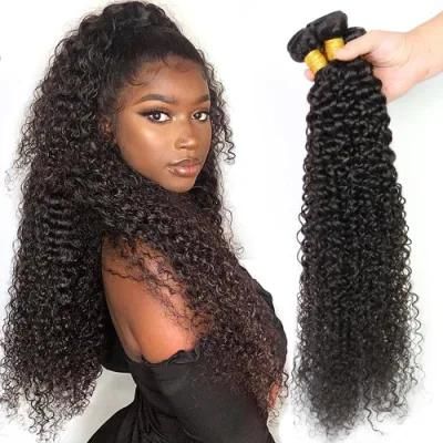 Factory Wholesale Kinky Curly Brazilian Virgin Human Hair Bundles Natural Black 22 Inch