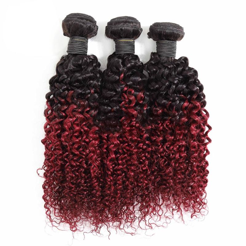 Factory Supply Wholesale Kinky Curly Raw Indian Cuticle Aligned Hair