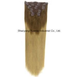 High Quality Clip in/on Ombre Chinese/Brazilian Human Hair Extensions