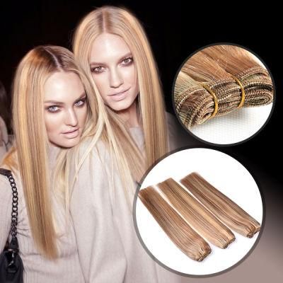 Xuchang Factory Price High Quality Free Sample Cheap 100% Human Hair