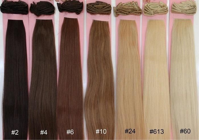 Clip in Human Hair Extension Virgin Hair Extensions (AV-CH003)