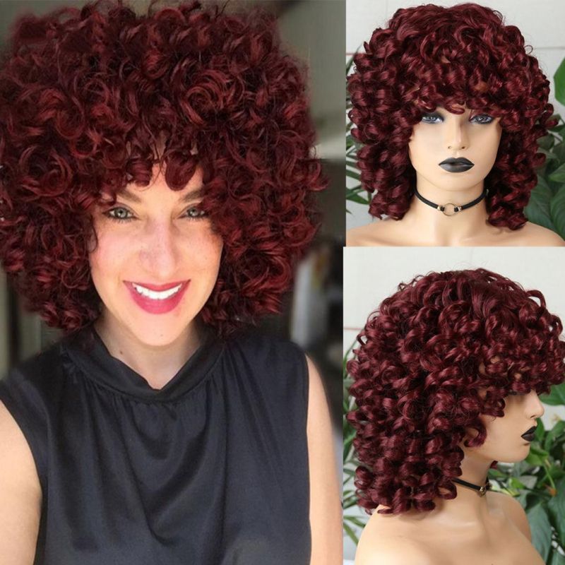 Brazilian Human Hair Short Hair Afro Curly Wig with Bangs Loose Fluffy Shoulder Length Natural Lace Front Wigs for Black Women 14 Inches
