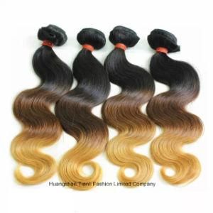 Unprocessed 100% Remy Virgin Aliexpress Ombre Hair