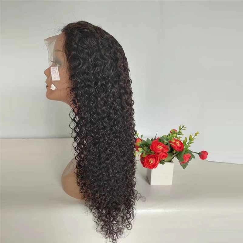 Raw Virgin Brazilian Curly Human Hair Lace Wig