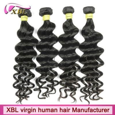 Chemical Free Human Hair Virgin Malaysian Hair Weave