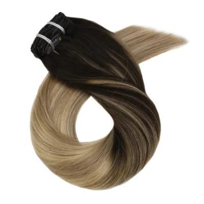 Clip in Hair Extensions 10-24 Inch Machine Remy Human Hair Brazilian Doule Weft Full Head Set Straight 7PCS 100g (10Inch Color 2-16-24)