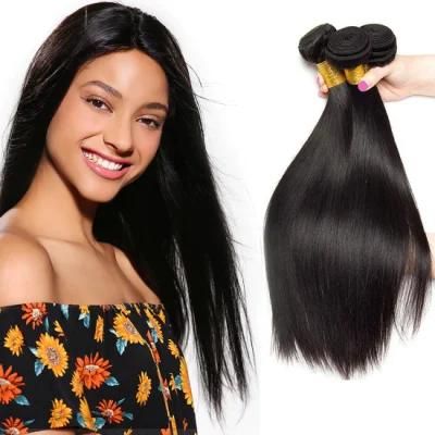 Peruvian 100% Human Virgin Hair Straight Human Hair Bundles