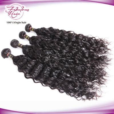 High Quality Unprocessed Virgin Brazilian Natural Wave Hair