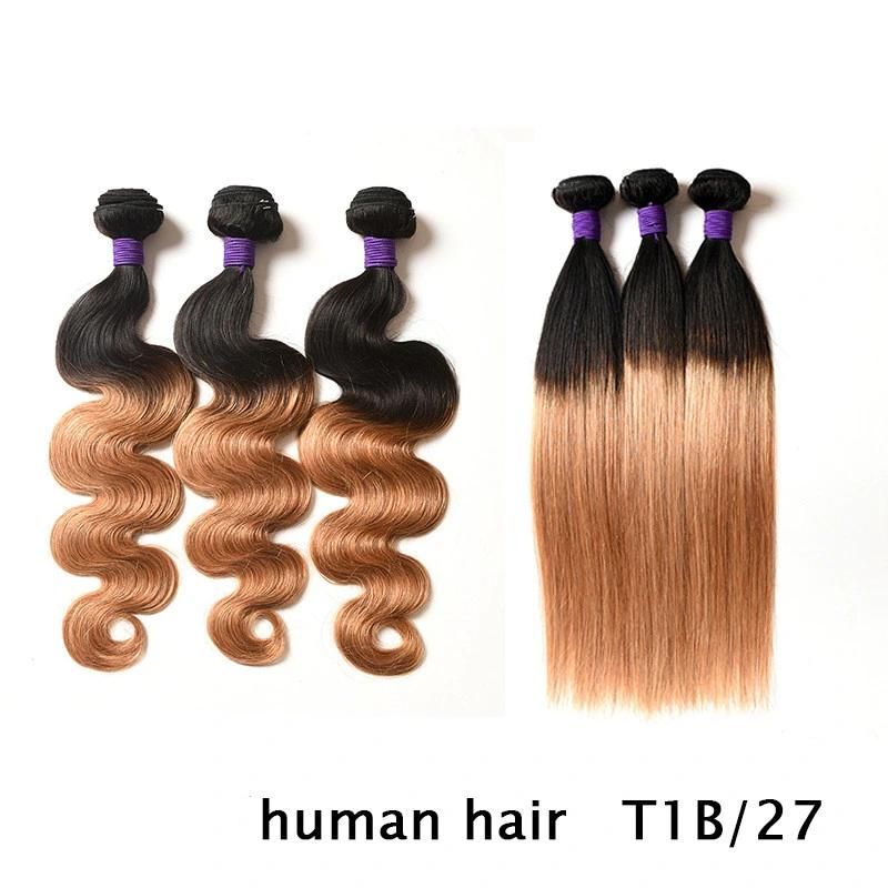 10A Ombre Body Wave Human Hair Bundles with 4X4 Lace Closure Remy Hair Extension Brown and Black T1b/4/27 for Sexy Women 26" Size