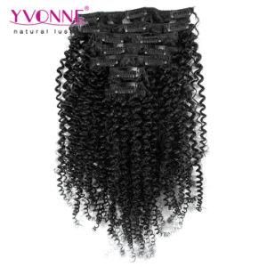 Brazilian Virgin Kinky Curly Clip in Hair Extensions