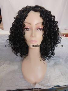 Wholesale Brazilian Style Curly Synthetic Hair Wig (RLS-438)
