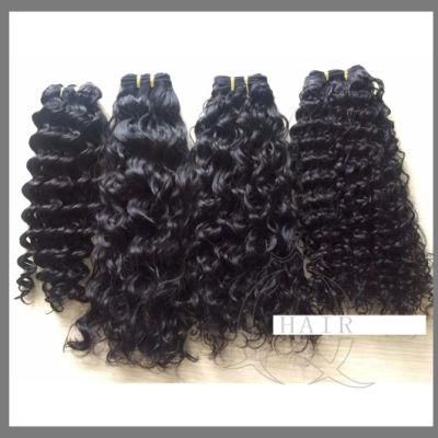 Top Quality Brazilian Hair Body Wave Slight Wavy Water Wavy Curl Afro Curl Hair Extensions
