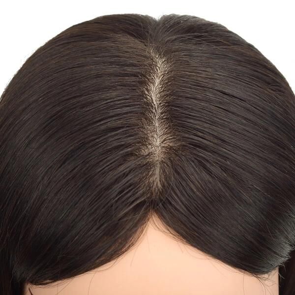 Custom-Made Wig French Lace with Clear PU Chinese Virgin Hair for Women New Times Hair