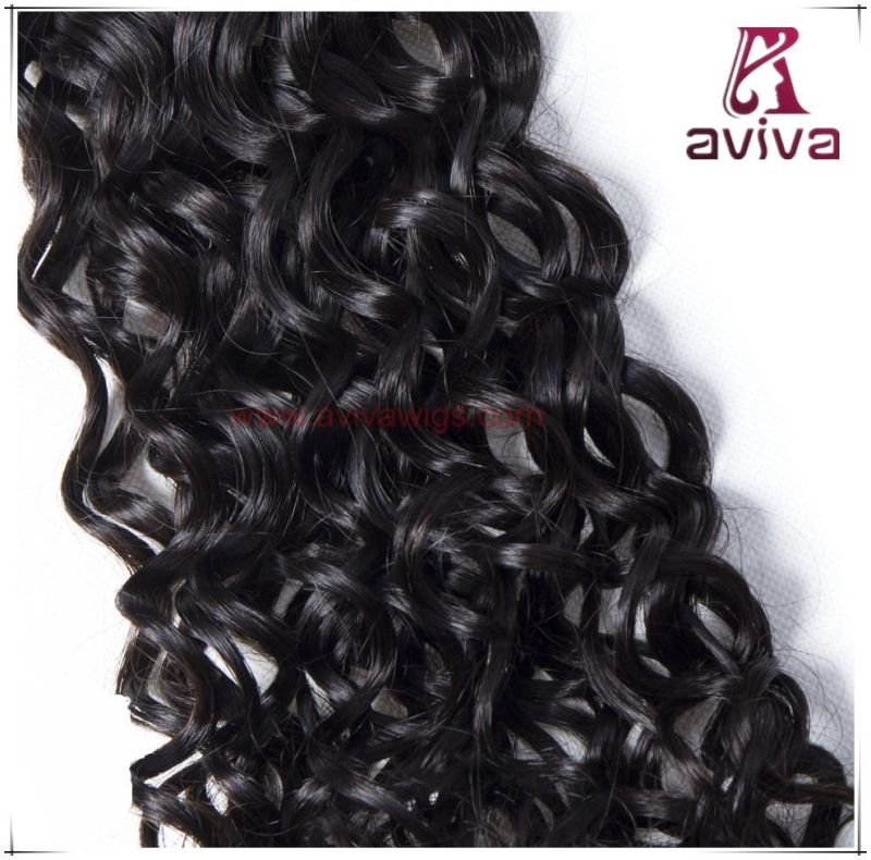 Brazilian Virgin Remy Hair Weave Double Drown Human Hair Water Curl Weave