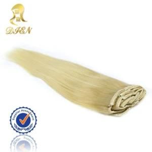 Top Quality 100% Natural Brazilian Virgin Human Hair