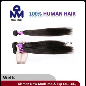 No Lice Straight Human Hair Women Weft