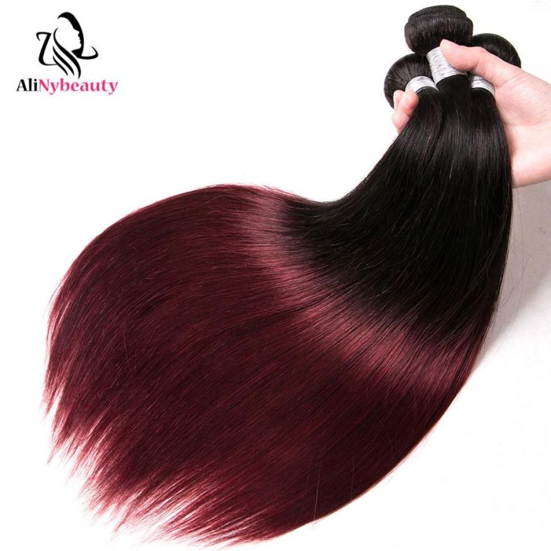Straight Brazilian Human Hair Ombre Color 1b 99j Wholesale