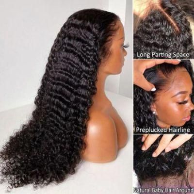 Deep Wave Closure Wig Human Hair Lace Front Wig Preplucked