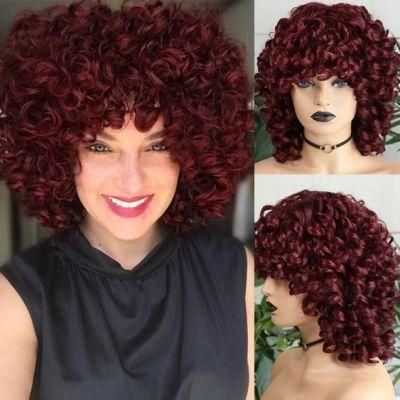 Brazilian Human Hair Short Hair Afro Curly Wig with Bangs Loose Fluffy Shoulder Length Natural Lace Front Wigs for Black Women 14 Inches