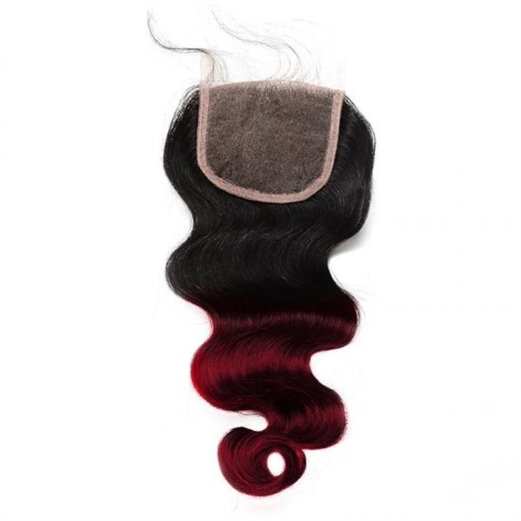 Unprocessed Dyed Easily Remy Human 1b/99j Body Wave with Closure Virgin Hair Body Wave