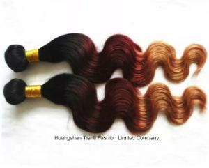 7A Garde Virgin Human Hair 3 Tone Ombre Hair