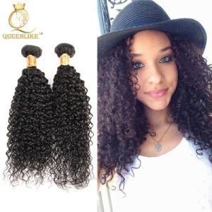Wholesale Mink Brazilian Curly Human Hair Extensions