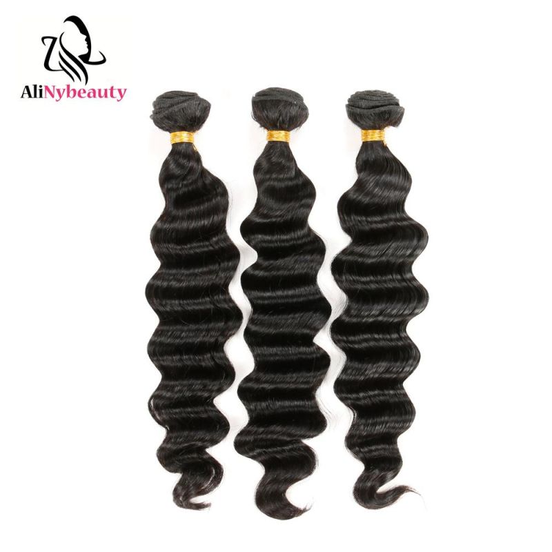 Alinybeauty Brazilian Virgin Raw Natural Human Hair Loose Deep Wave