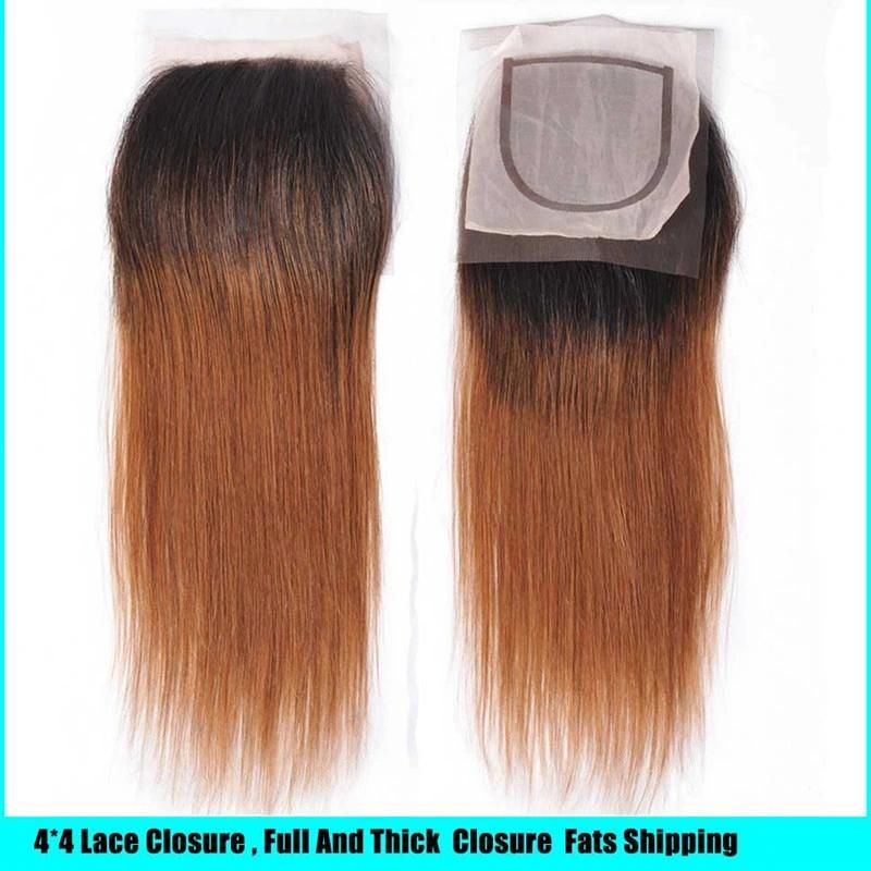 Cheap Brazilian Virgin Straight Hair 4 Bundles Ombre Human Hair with Closure Ombre Straight Brazilian Hair Bundles with Closure