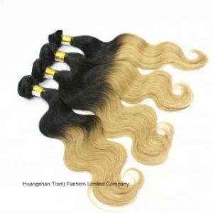 in Stock Ombre Loose Wave Malaysian Human Hair