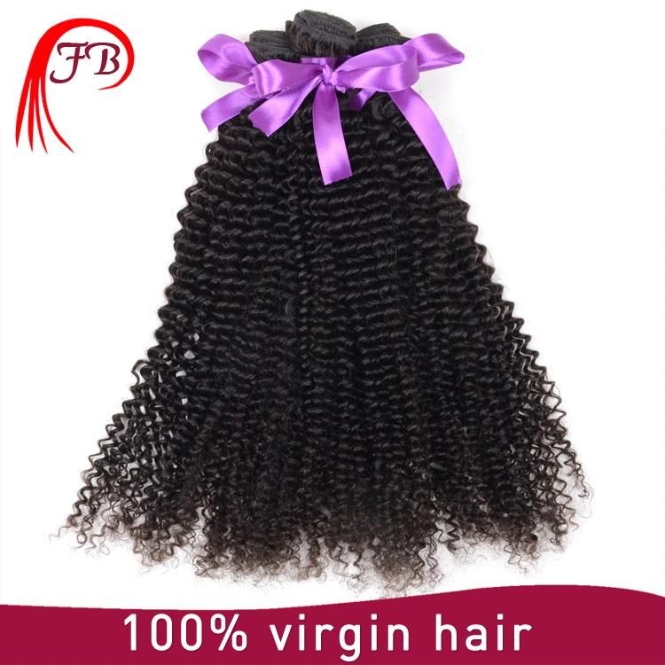 Grade 8A Kinky Curl Virgin Brazilian Remy Human Hair Extension