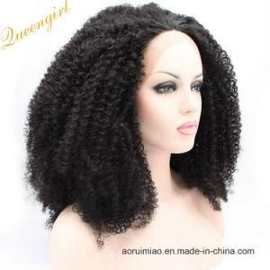 Popular Afro 8A Virgin Remy Human Hair Full Lace Wigs Burmese Kinky Curly Wig