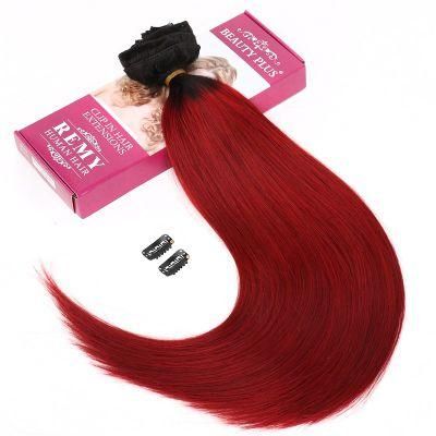 2020 Fashion 100% Brazilian Remy Clip in Hair Extension, Ombre Color Russian Virgin Hair Clip in Human Hair Extensions