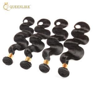 Brazilian Cuticle Aligned Virgin Raw Human Hair Extensions