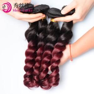 New Arrival Brazilian Ombre 1b/99j Red Wine Color High Quality Loose Wavy 100% Virgin Brazil Human Hair Bundle