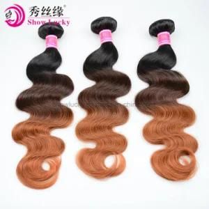 Cheap Wholesale 100% Natural Remy Virgin Raw Woman Three Tone Ombre Mongolian Virgin Human Hair