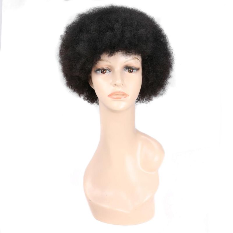 Fashion Short Curly Hair Indian Remy Human Hair Wig