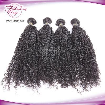 Cuticle Aligned Hair Factory Peruvian Human Hair Virgin Weft Curly