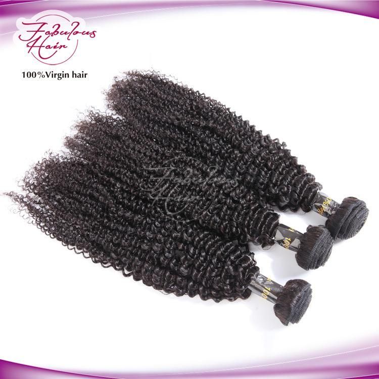 Peruvian Virgin Hair Afro Look Kinky Curly Hair Weaves