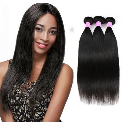 Factory Price Brazilian Virgin Hair Straight 14inches