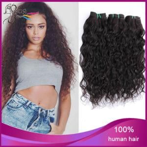 Good Quality Human Hair Water Wave Hair