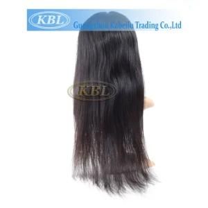 Brazilian Human Hair Lace Front Wig