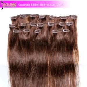 Hot 100% Human Remy Hair Clip in Hair Extension