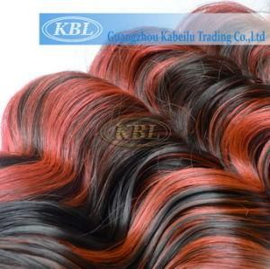 Brazilian Human Hair Highlight Hair