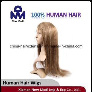 Straight Human Hair Brazilian Full Lace Wig