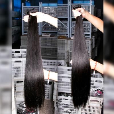 Raw Brazilian Cuticle Aligned Hair, Wholesale Human Hair Bundle Virgin Hair, Mink Virgin Brazilian Hair Bundles