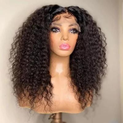 Sunlight Indian Hair 100%Human Hair Curly Lace Front Wig