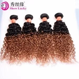 Brazilian Kinky Curly Hair 10A Two Tone Color 1b/30 Ombre Virgin Brazilia Human Hair Weft