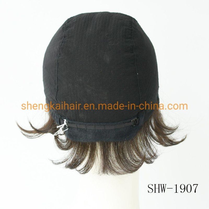 Wholesale Premium Quality Fashion Short Hair Length Full Handtied Human Hair Synthetic Hair Mix Hair Wig